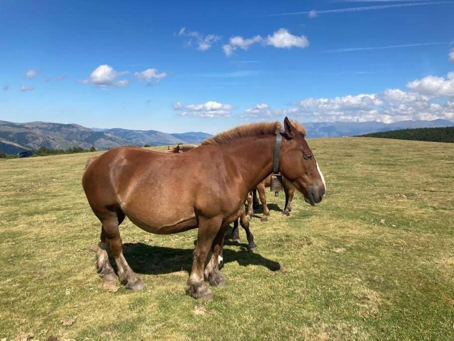 La De Llivia, Cerdanya, Puigcerda. Llivia